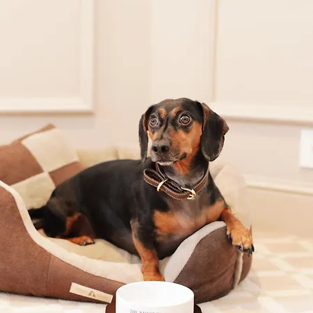 The Bristol ホテル ベオグラード