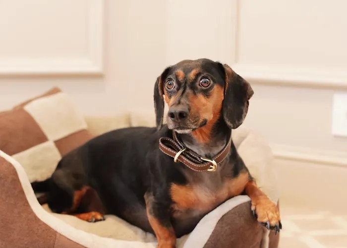 The Bristol Hotel Belgrad